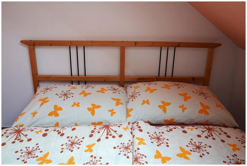 Pension Dvoracek Svoboda nad Úpou Kamer foto